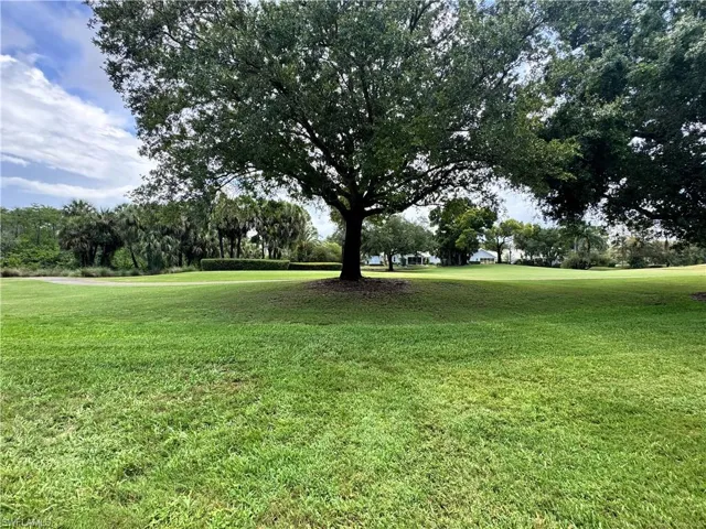 Expansive green space featuring a large mature tree with substantial foliage