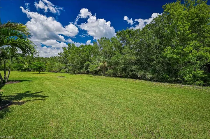 15136 Yellow Wood Dr, Alva, Florida 33920