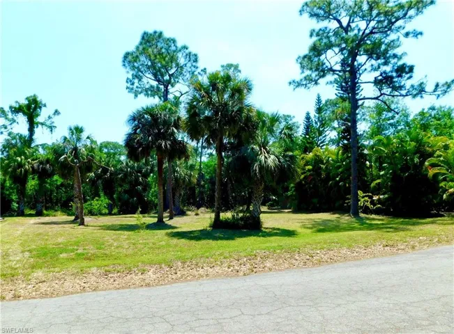 lot front