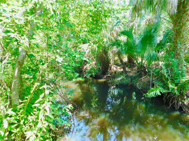 rear of lot Palm Creek