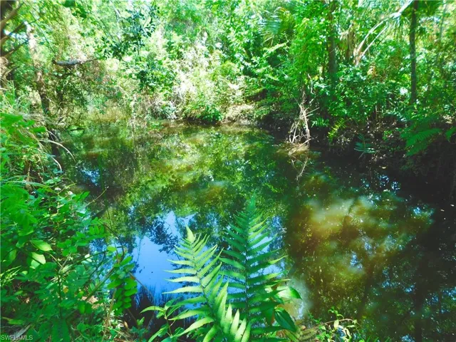 rear of lot Palm Creek
