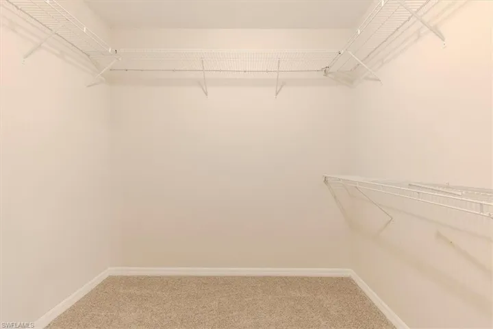 Spacious closet featuring light colored carpet