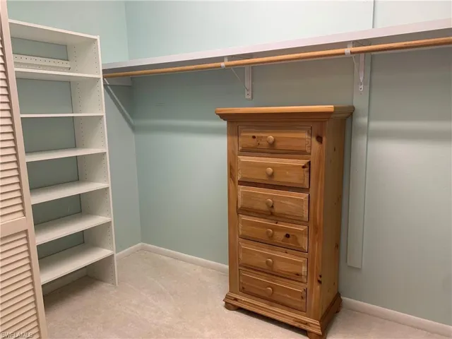 Walk in closet featuring carpet