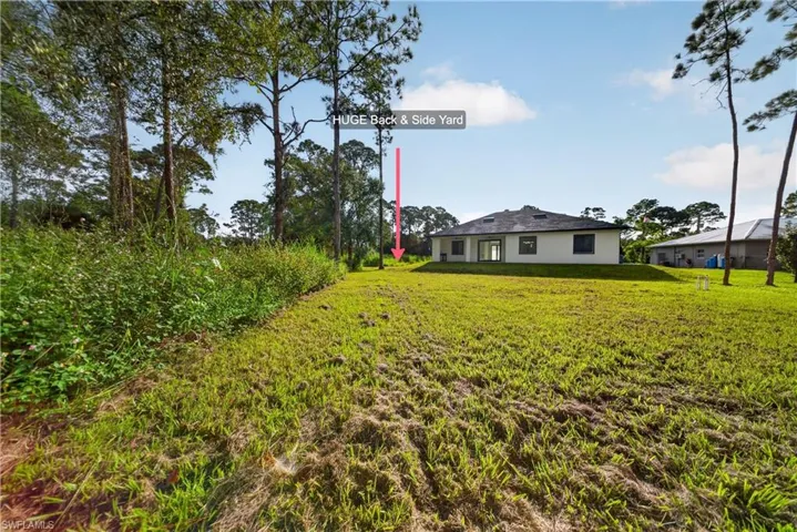 Expansive rear and side yard with mature trees bordering the property