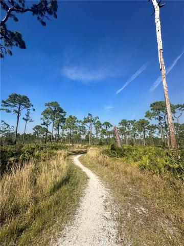 North Cape Flats Trail down the road