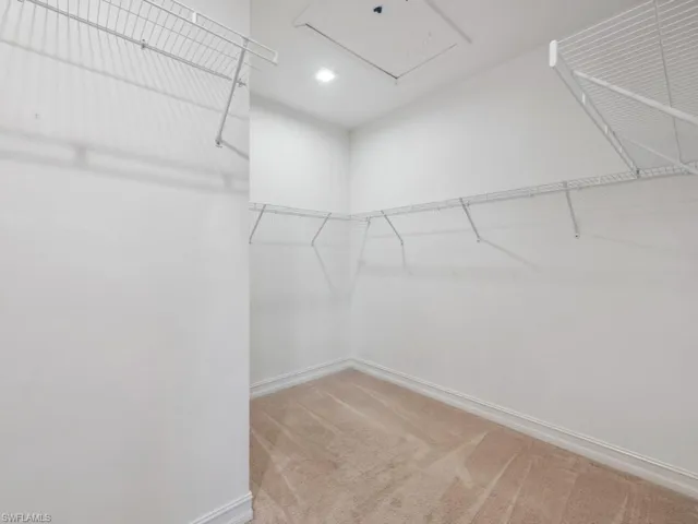 Walk in closet featuring carpet floors