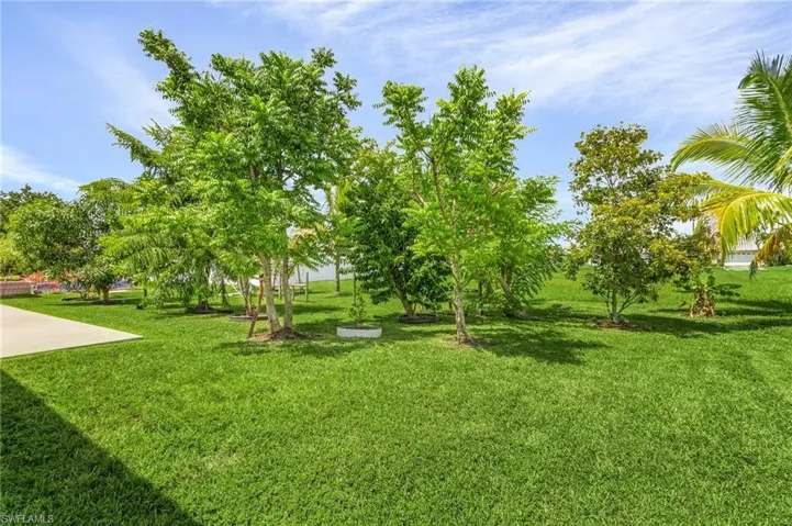 Back yard with abundant fruit trees.