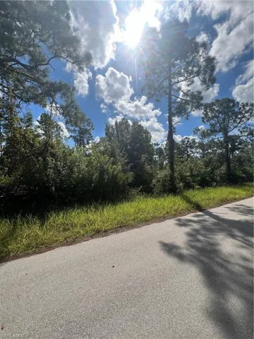 View from road