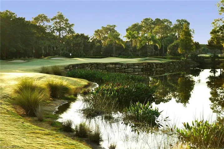 One of the Natural Views Everyday- Over 8 Miles of Sidewalk in The Forest Community