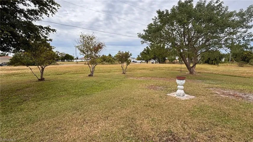 View of grassy yard