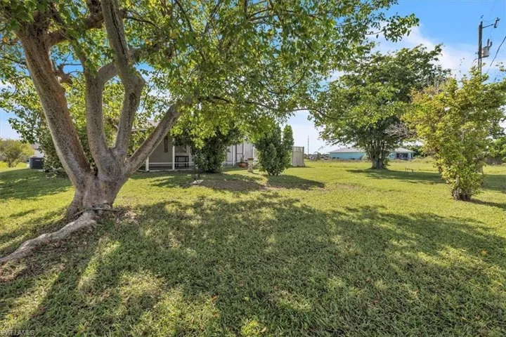 View of grassy yard
