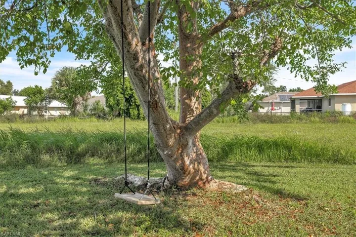 View of green lawn