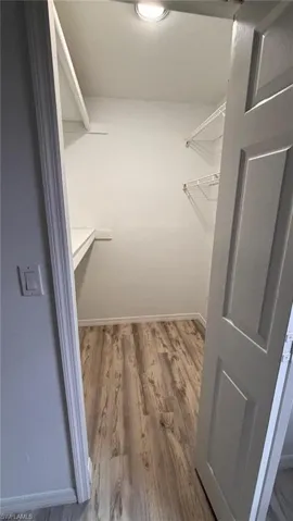 Spacious closet with light wood finished floors