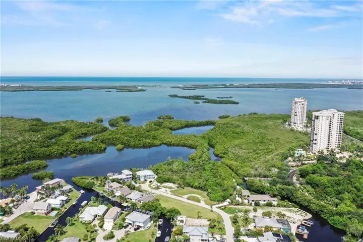 Expansive aerial capturing a coastal landscape with water features, lush green foliage, and residential properties