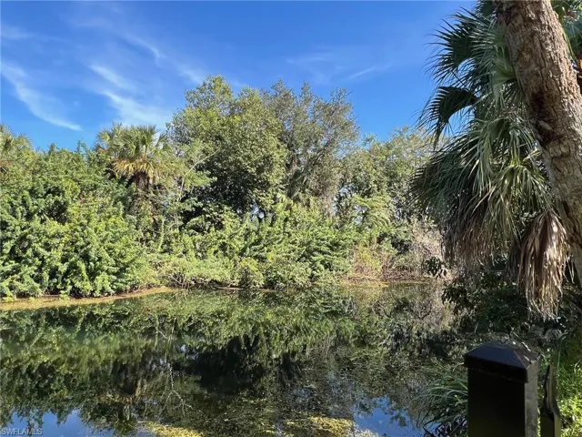 Water view with a forest