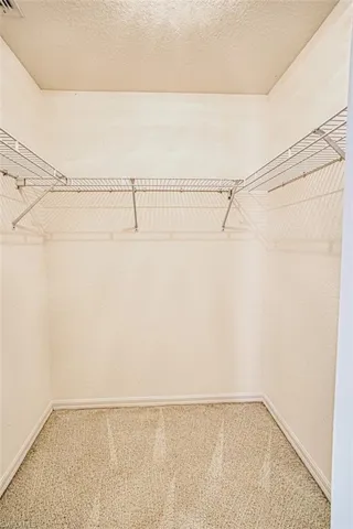 Spacious closet with carpet