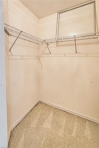 Walk in closet featuring carpet floors