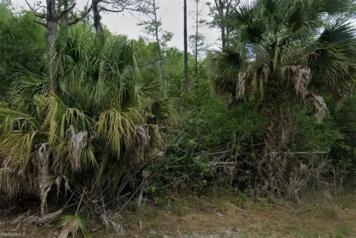 3316 36th St W, Lehigh Acres, Florida 33971