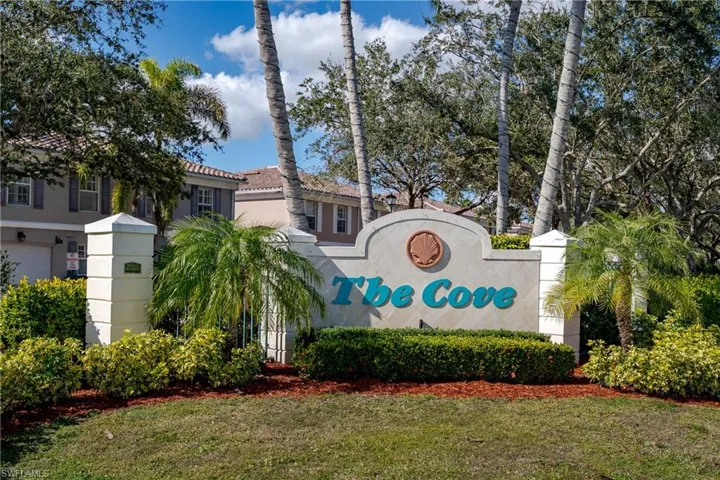 Welcome to The Cove