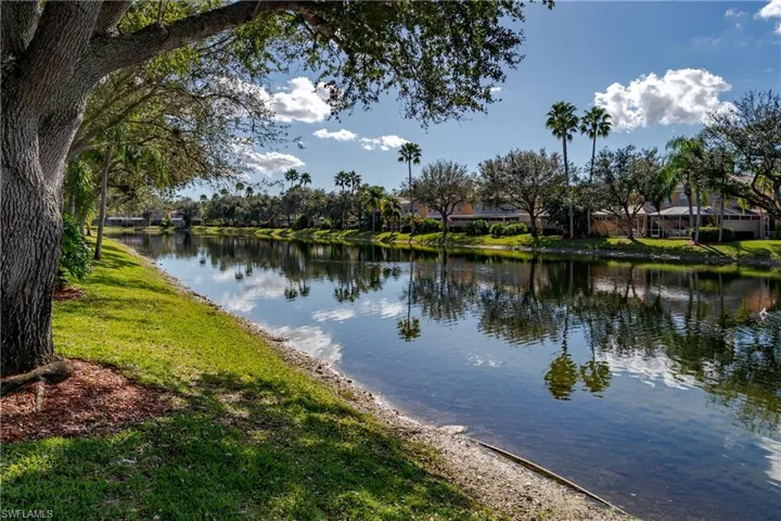 Enjoy the Florida skies