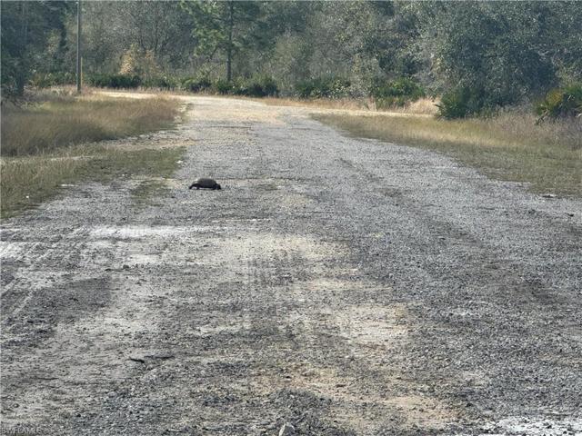 Even the wildlife love this location.