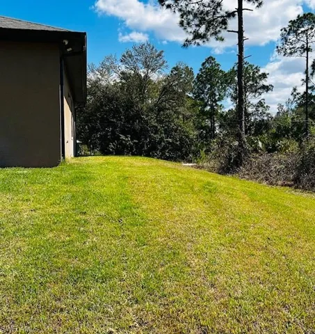 View of grassy yard