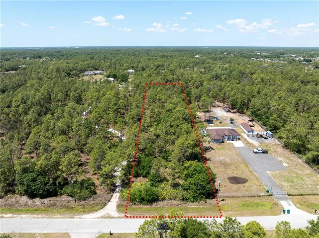 Bird's eye view with a forest view