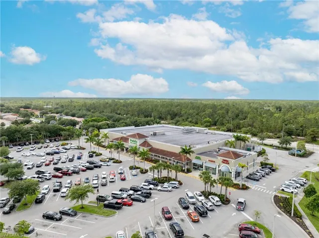 Publix aerial view and parking lot Bird's eye view of surrounding vacant land in area.