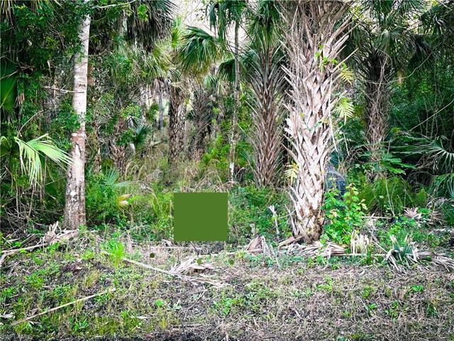 640 35th AVE NW, NAPLES FL 34120