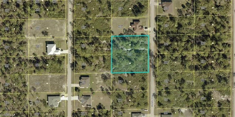 1315 Prospect Ave, Lehigh Acres, Florida 33972
