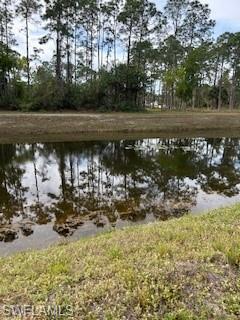 Back of Lot Canal