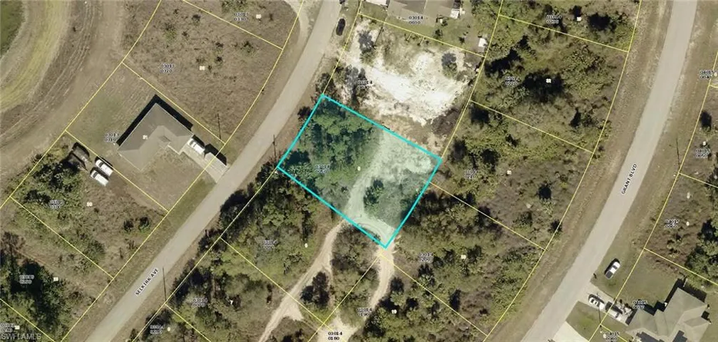 313 Selkirk Ave, Lehigh Acres, Florida 33974