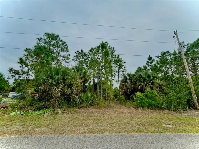 313 Selkirk Ave, Lehigh Acres, Florida 33974
