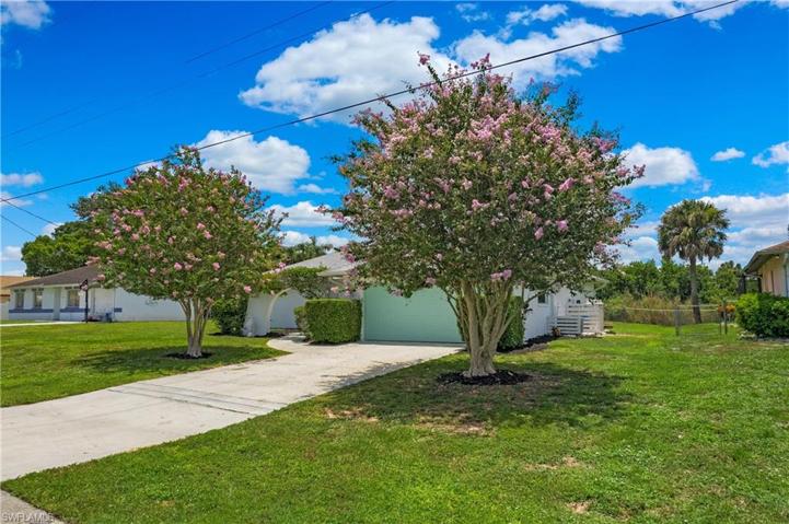 Large front yard with long driveway and mature trees