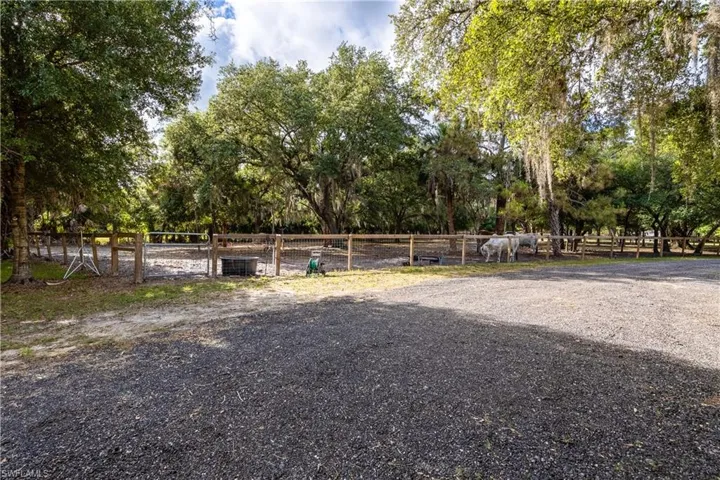 Cow Pasture