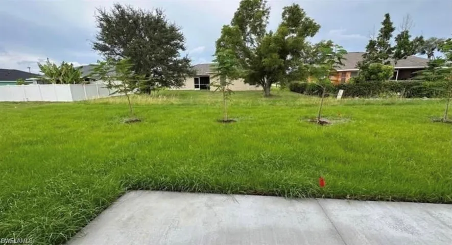 View of yard