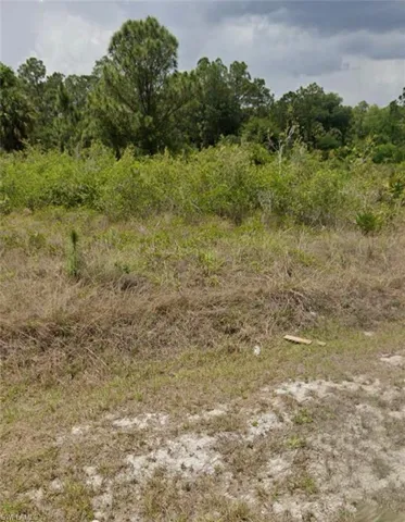 View of local wilderness