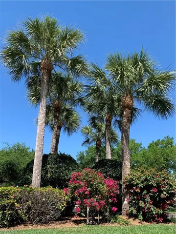 9213  Coral Isle  WAY, Fort Myers, FL 33919