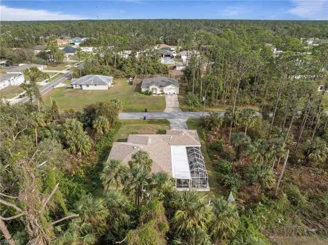 Drone / aerial view of a forest