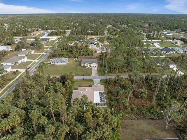Aerial perspective of suburban area featuring a forest