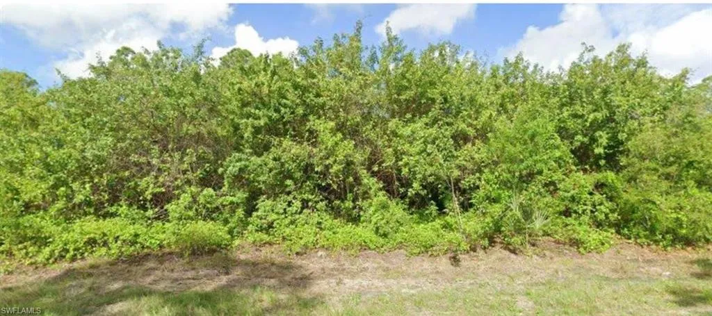 1165  Agnew  ST, Port Charlotte, FL 33980