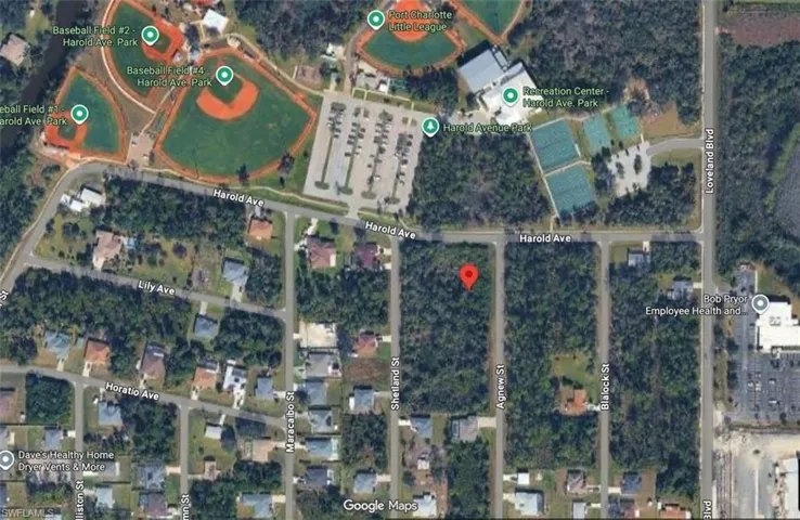 1165  Agnew  ST, Port Charlotte, FL 33980