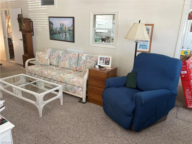Living area with carpet floors