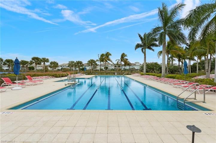 Lap Pool