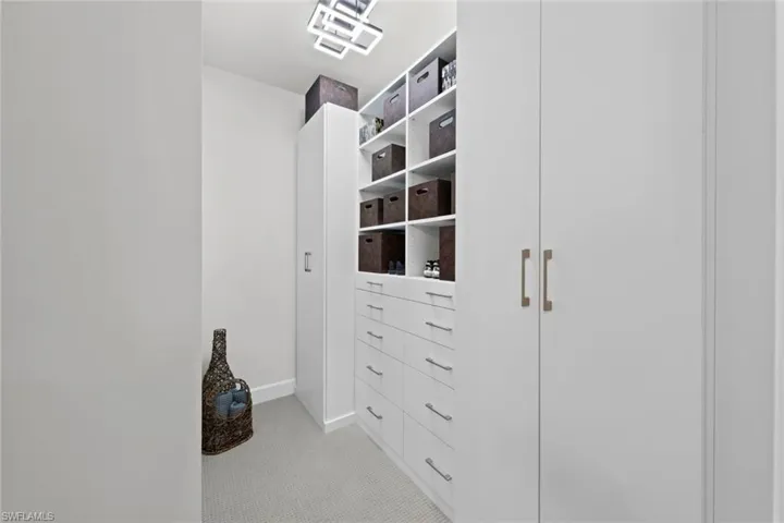 Spacious closet featuring light colored carpet