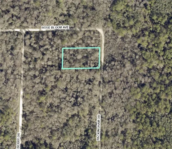 Aerial Map. Depicting the property's location relative to Rose Bloom Avenue and Packingham Drive