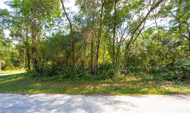 8009 Packingham St, Webster, Florida 33597