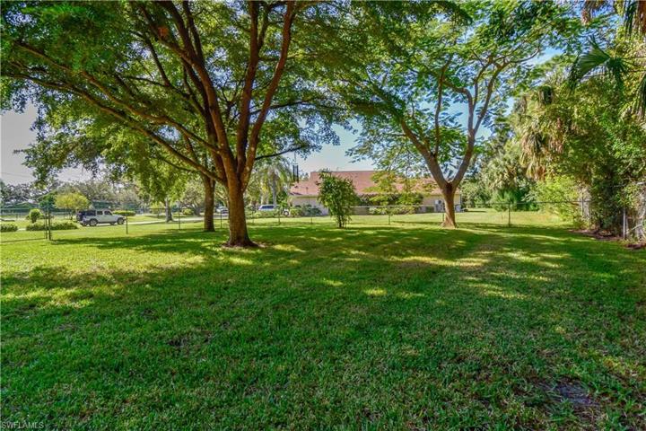 Large side yard