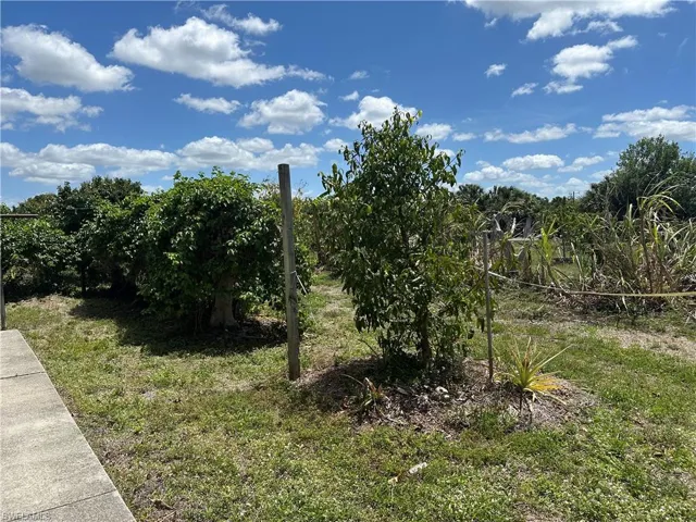Lots of fruit trees on property