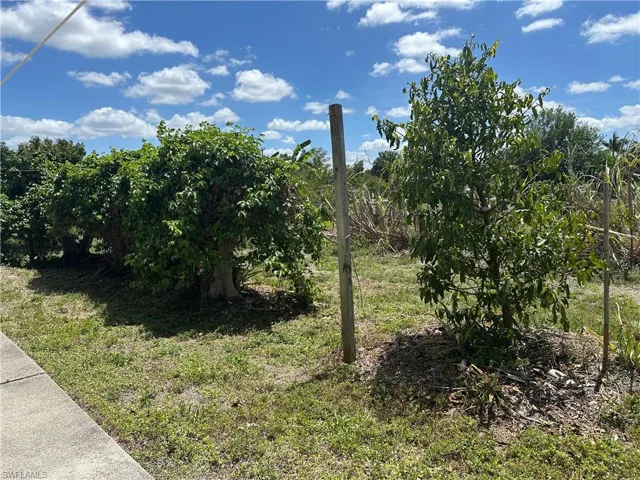 View of farm with fruit trees from back patio-so many varieties!